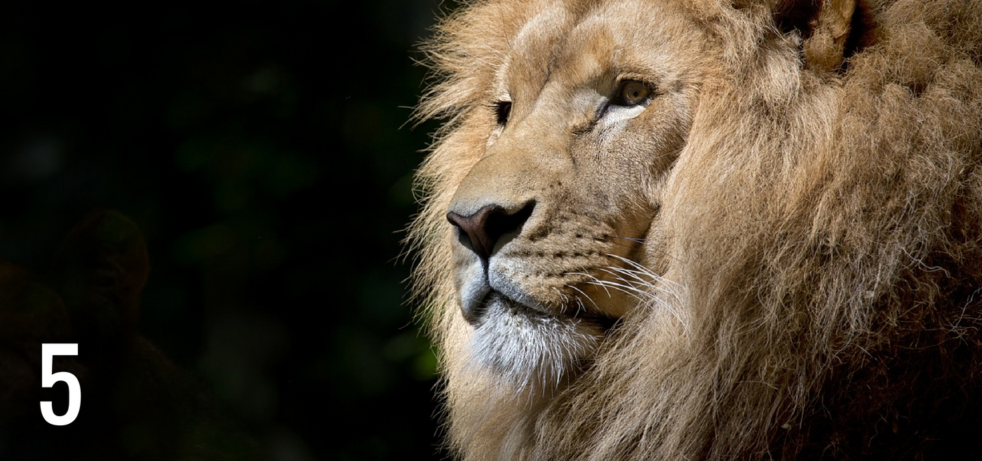 5 Reasons Why Independent (commission-only) Salespeople Earn More Than Employees