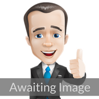 Awaiting image of sales expert