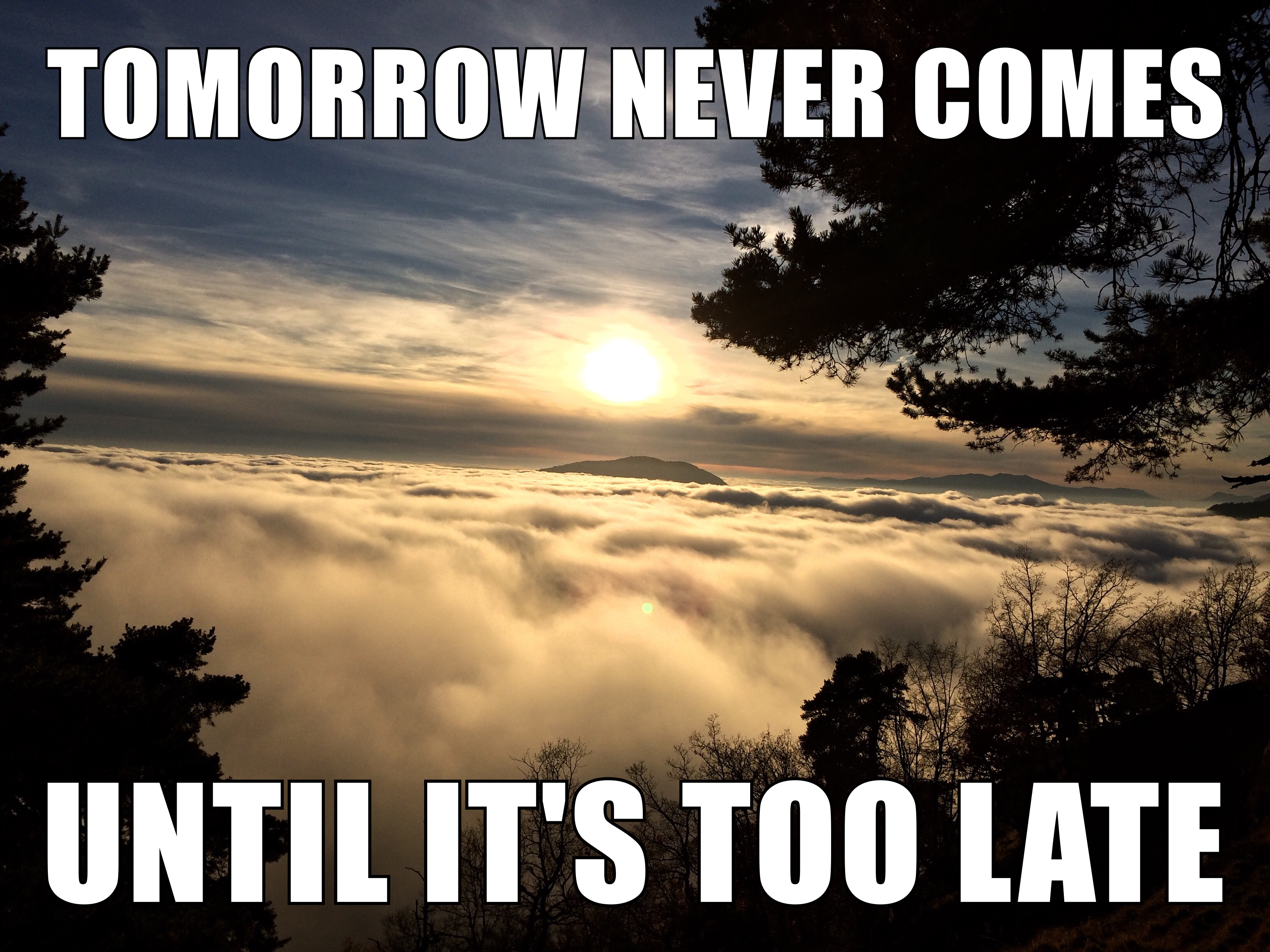 Becoming an independent sales rep