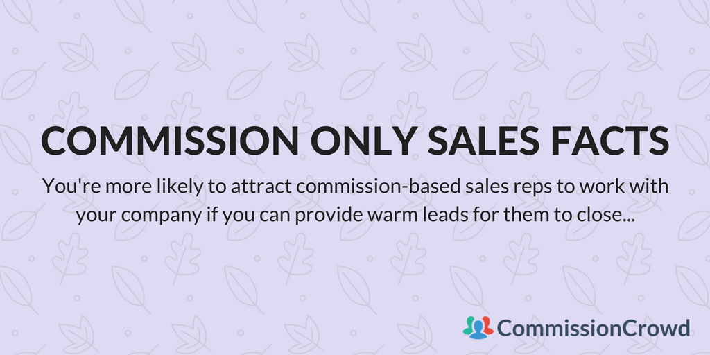 experienced self-employed sales rep