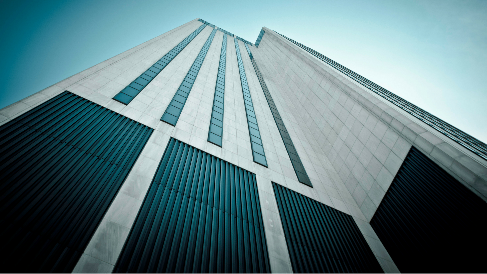 Sales Playbook: The Free Guide That Grew A $40M Independent Sales Team For A New York City Startup