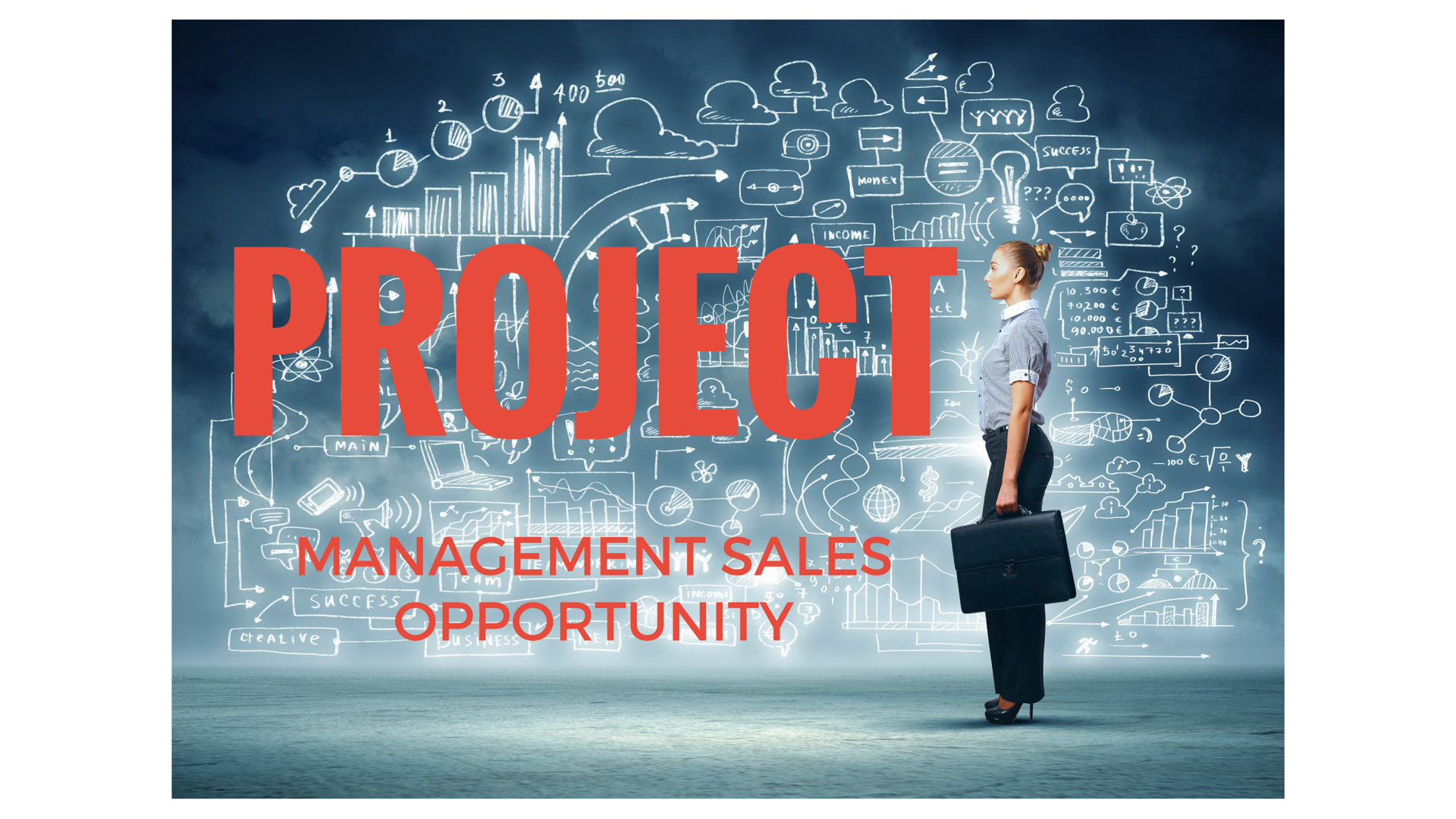 Project management solutions sales opportunity