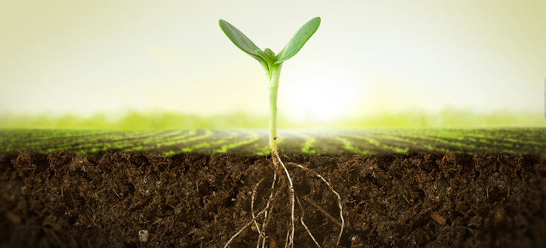 Agricultural sales opportunity