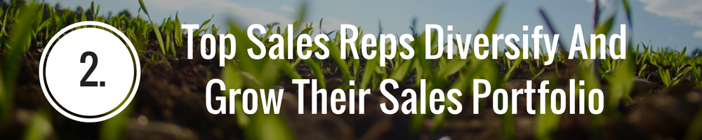 grow and diversify your sales portfolio