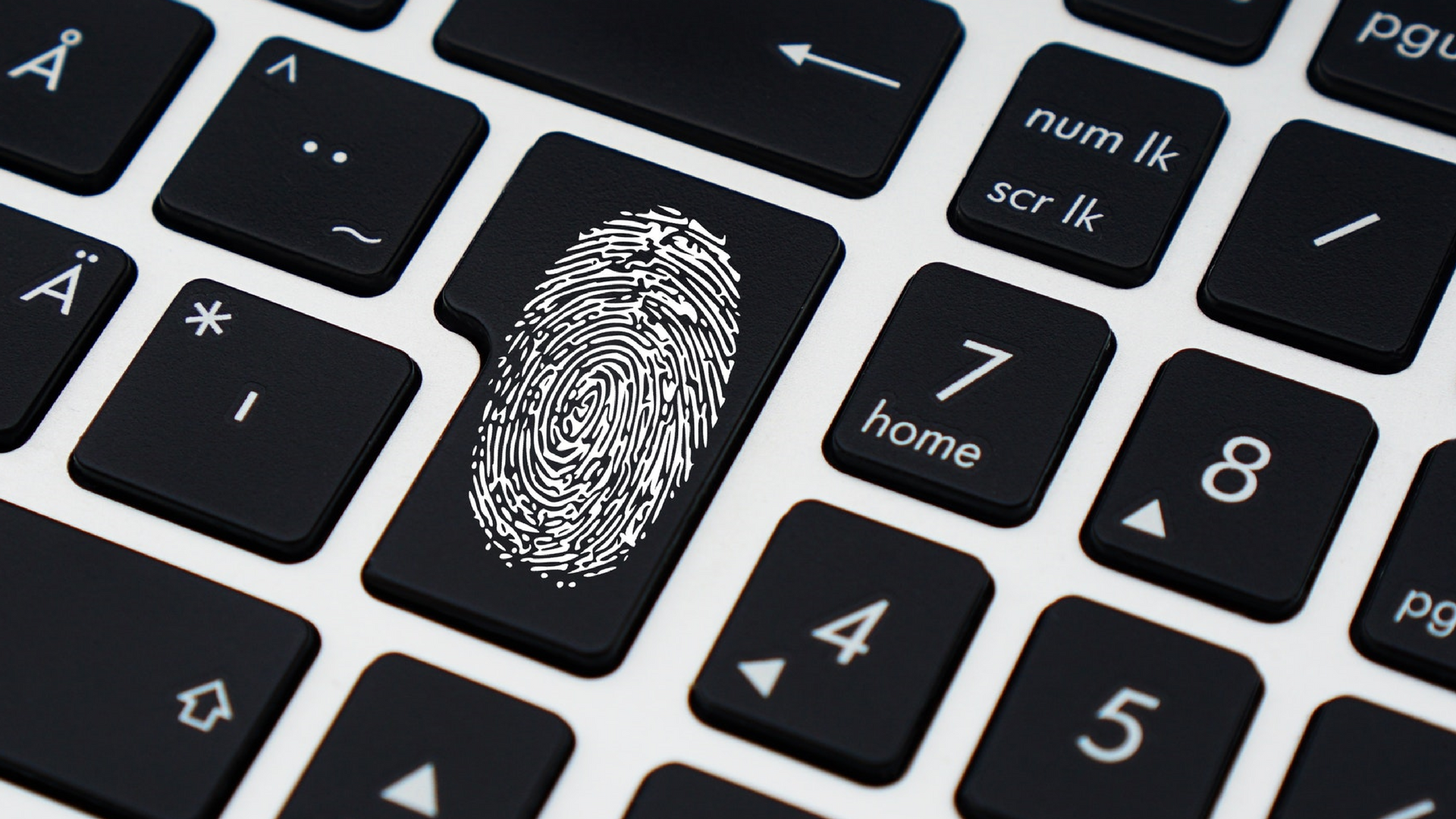 Sell Award Winning Web Development Solutions For Funded Startups - 22% Commission