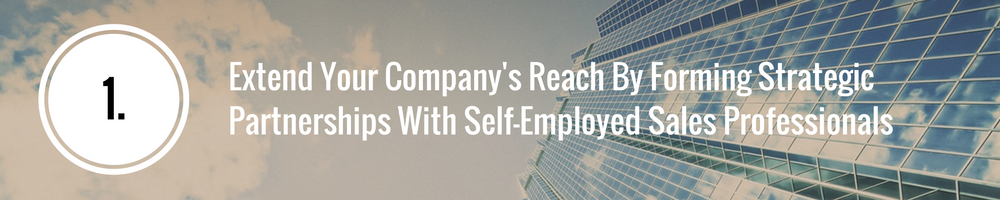 strategic partnerships with self-employed sales reps